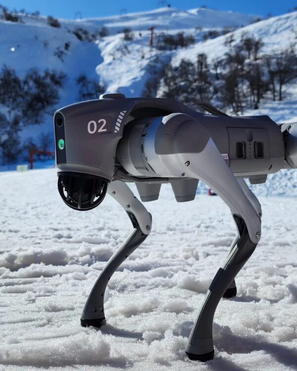 Perro robot Unitee go2