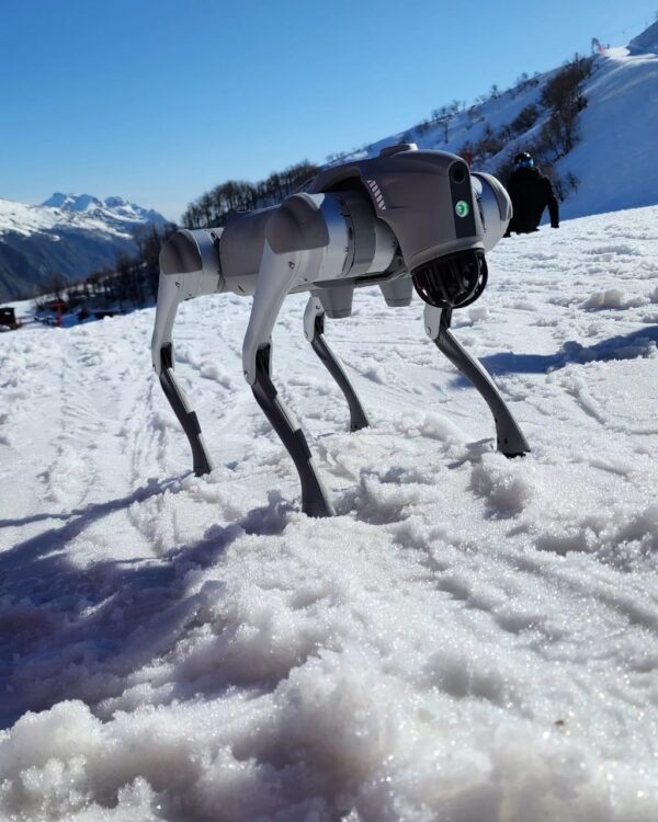 Perro robot Unitee go2