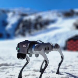 Perro robot Unitee go2