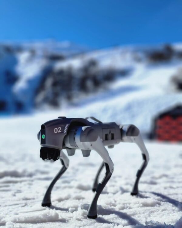 Perro robot Unitee go2